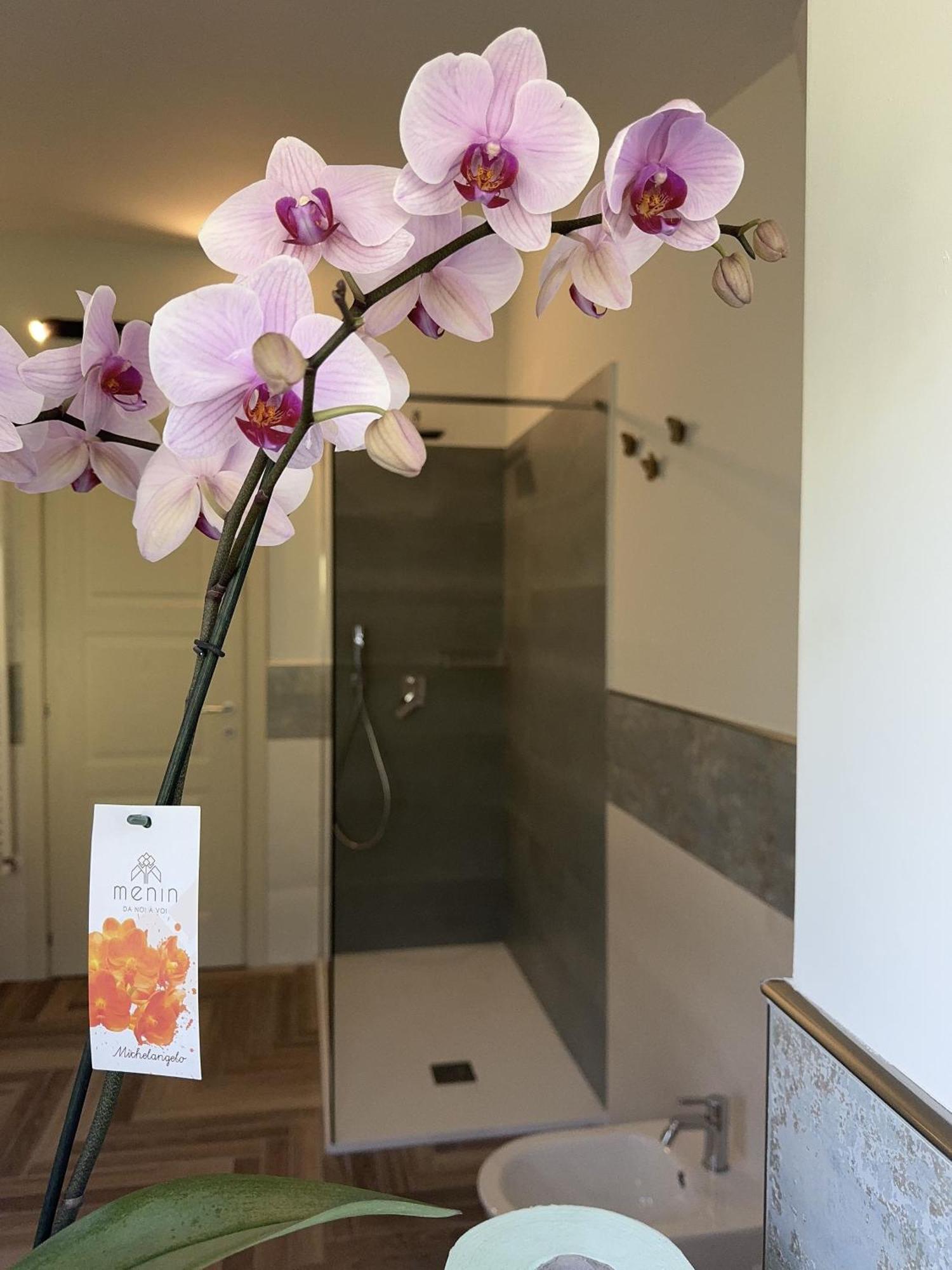 Villa C Luxury Estate SantʼAntonio Abate Habitación foto